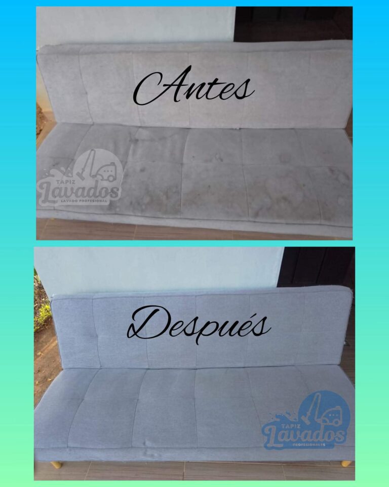 FB IMG 1774385609033 768x960